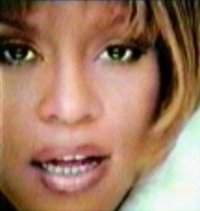 www.whitney-fan.com/